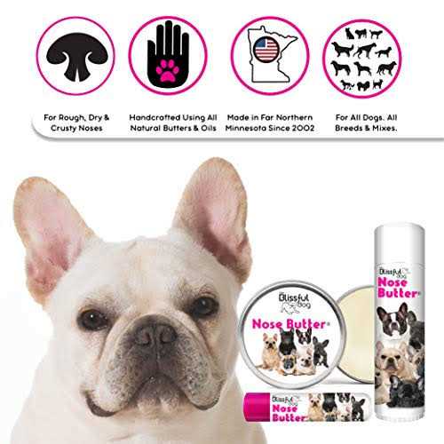 Bulldog Unscented Nose Butter G823192