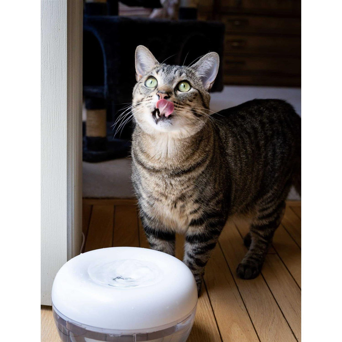 Water Fountain for Cats and Small Dogs with 5-Layer Filter T47768