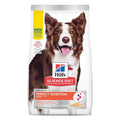 Adult Perfect Digestion Dog Food A330