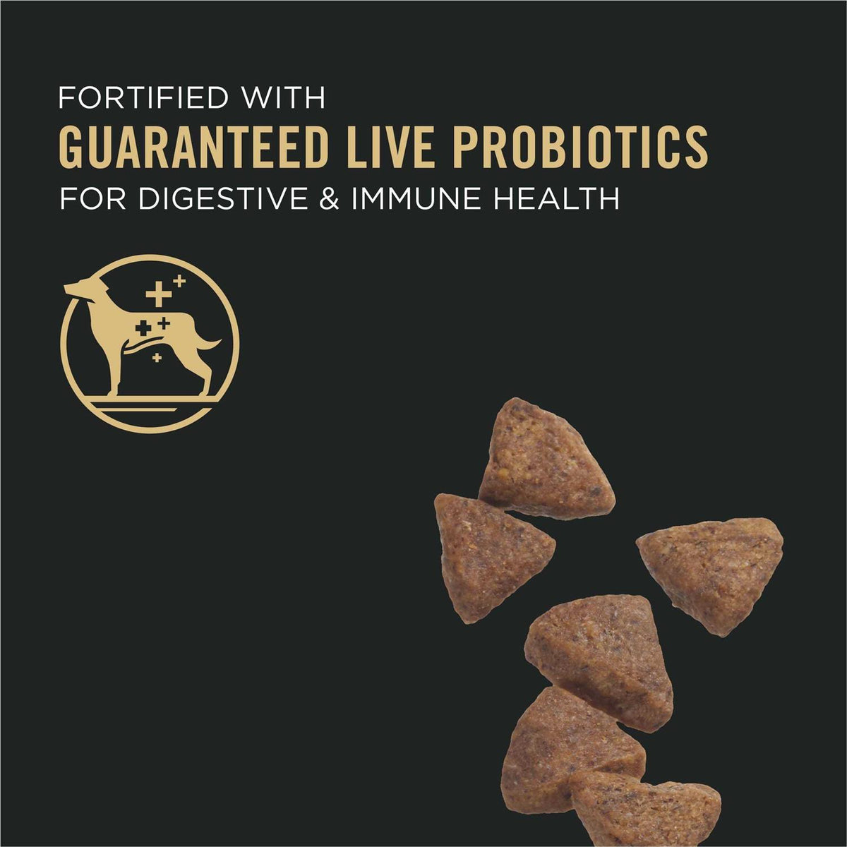 Sensitive Skin & Stomach Dry Dog Food T82823