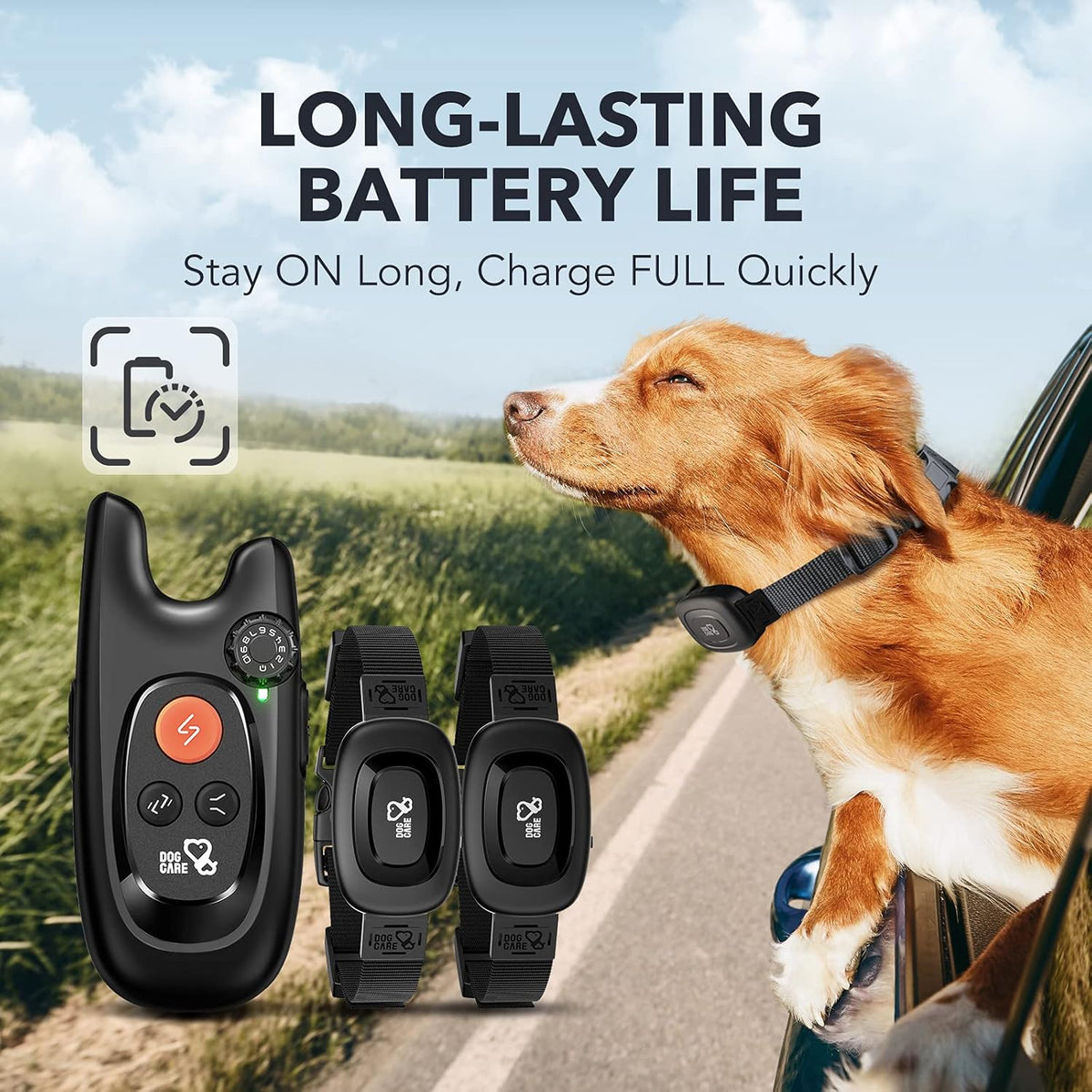 Rechargeable Dog Training Collar with Remote, 2 Receivers S137217