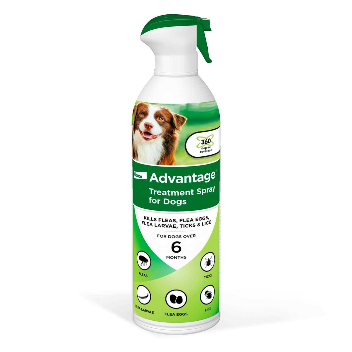 Flea & Tick Treatment Spray for Dogs B579