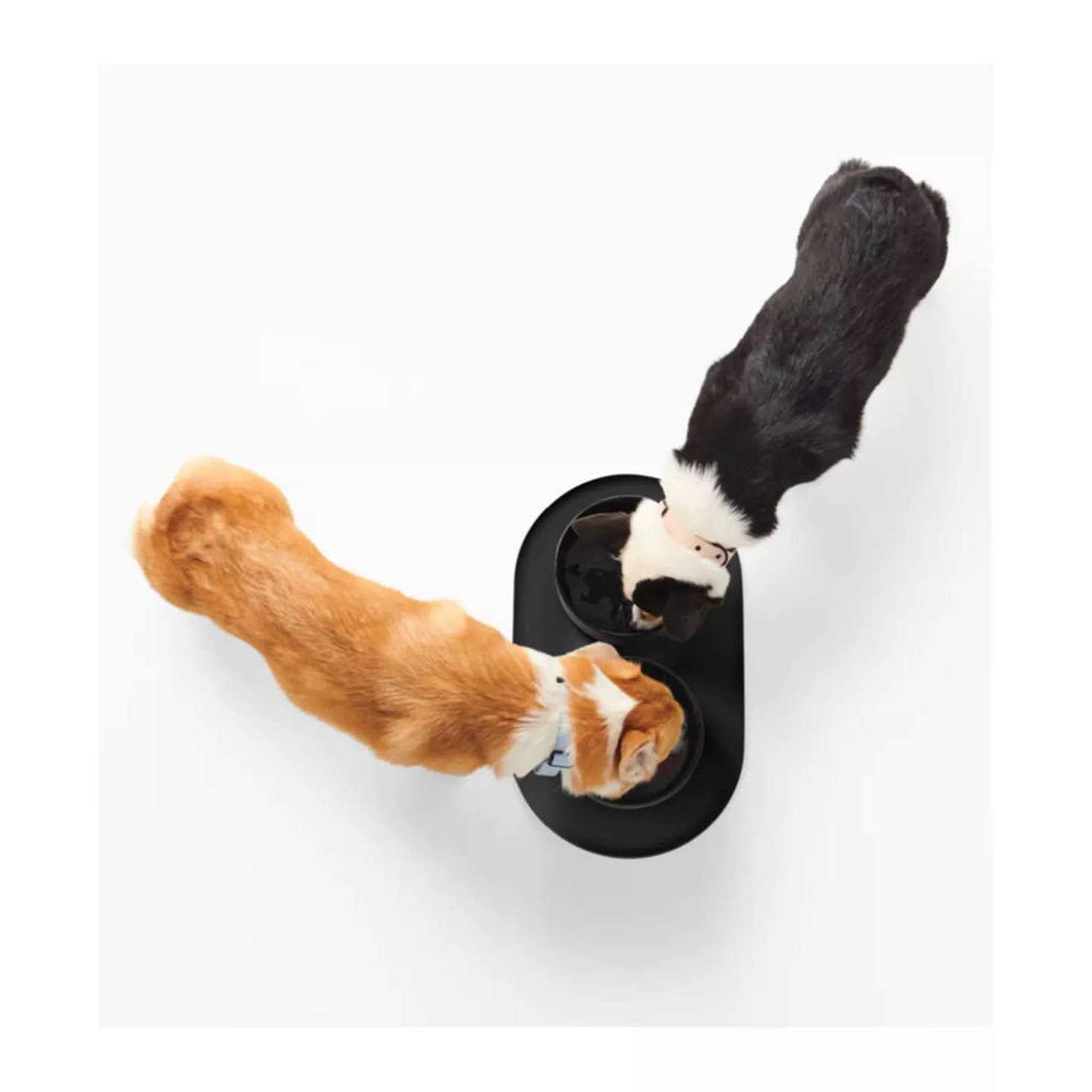 Dog Bowl Mat X377