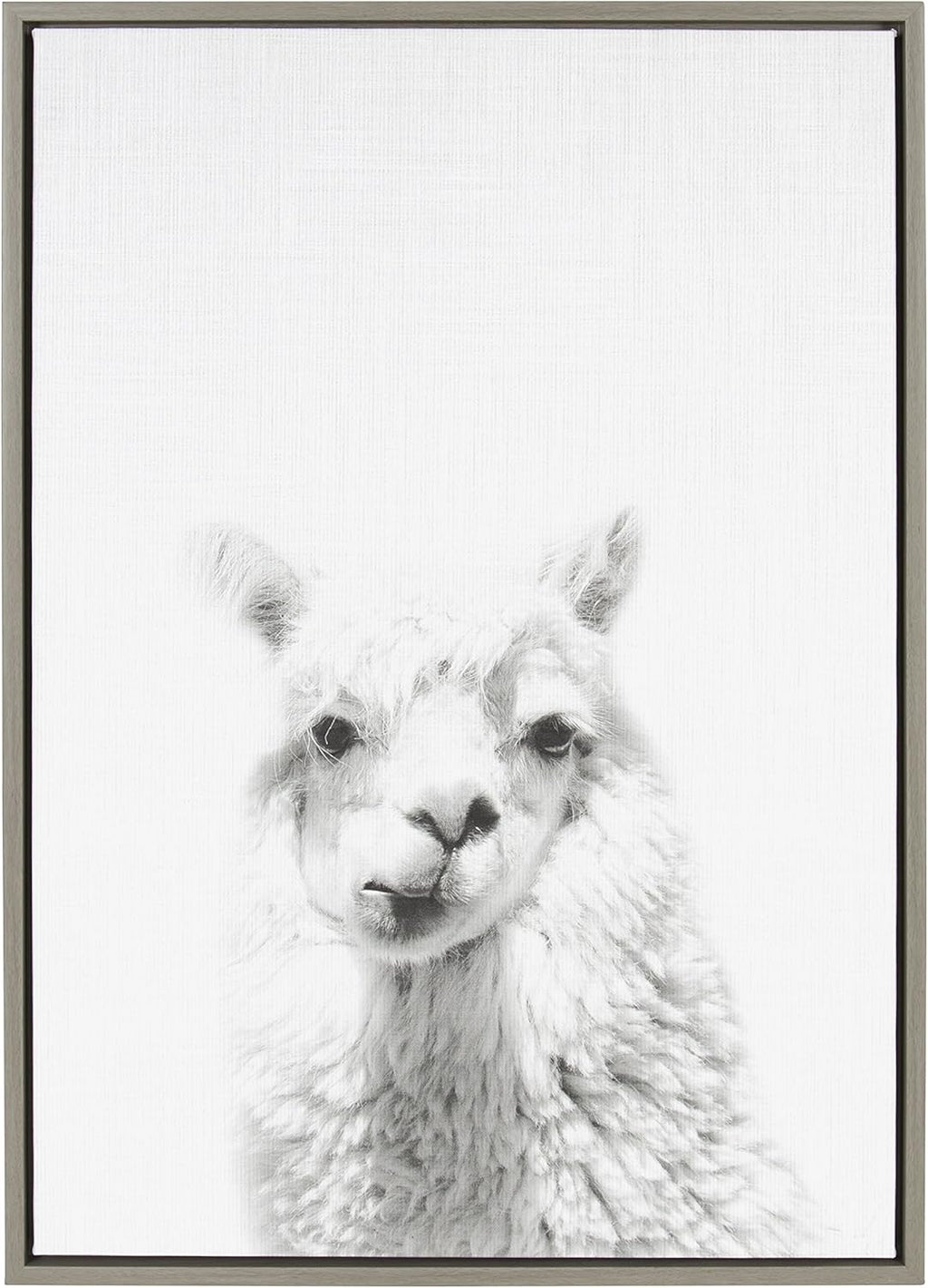 Black and White Framed Canvas Wall Art, 18x24 E28033