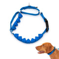 Soft Point Training Collar L1421