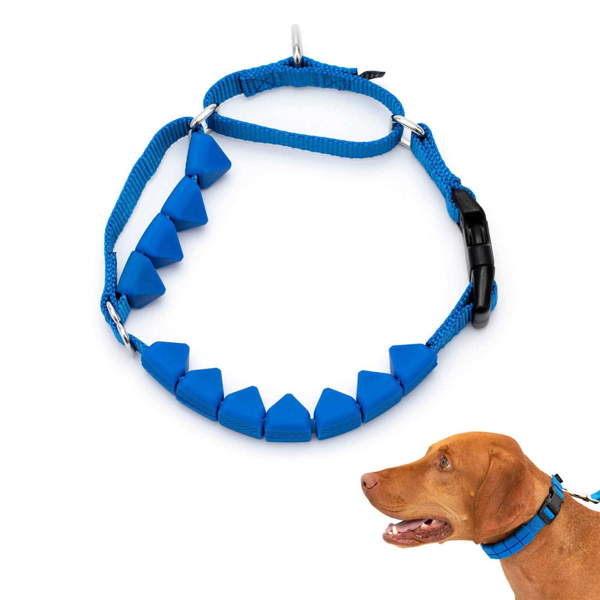Soft Point Training Collar L1421