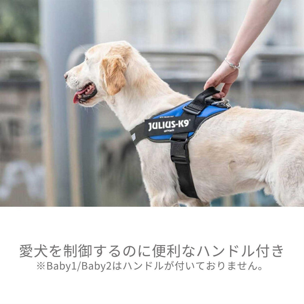 Powerharness Q15503