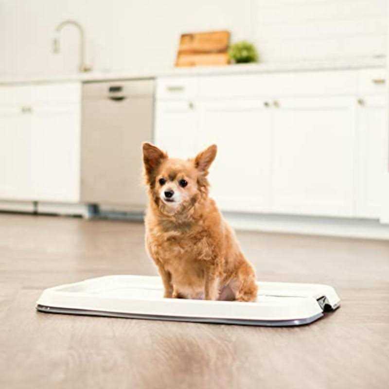 Square Pet Training Pad Holder G4595