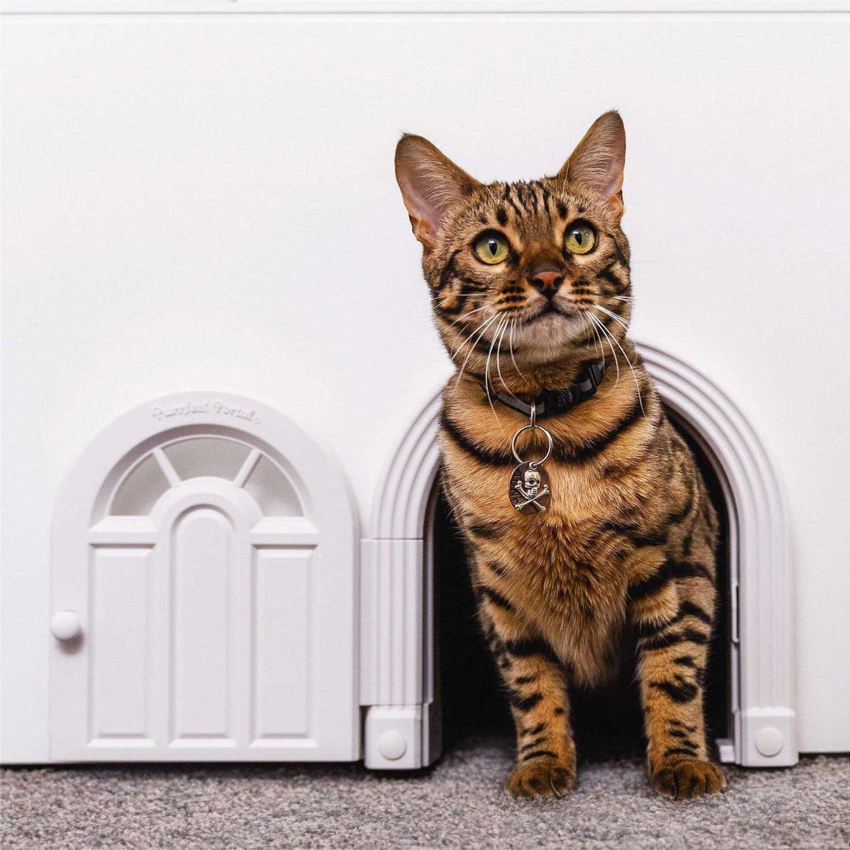 Interior Cat Door for Cats Up to 20 lbs F697001