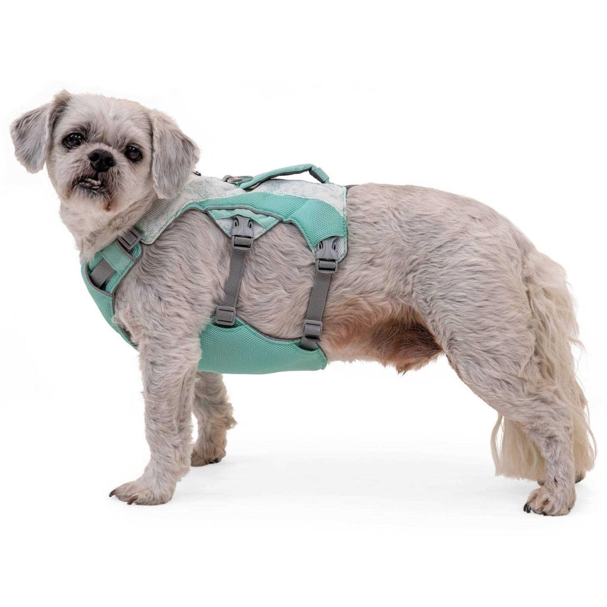 Dog Harness N972402