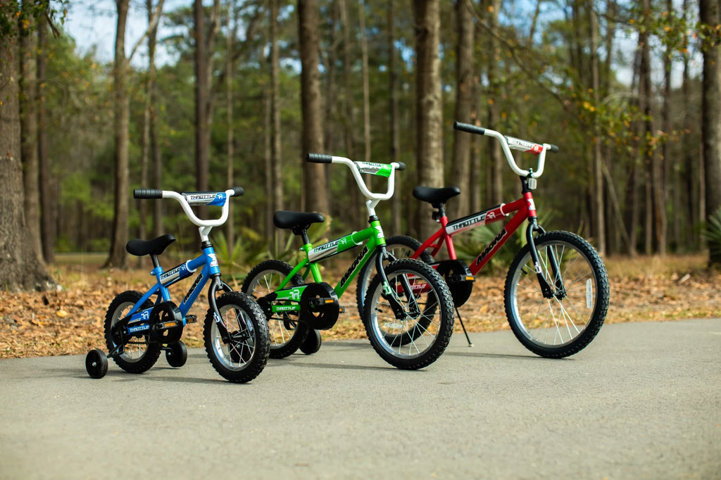 20-Inch BMX Bike R8210