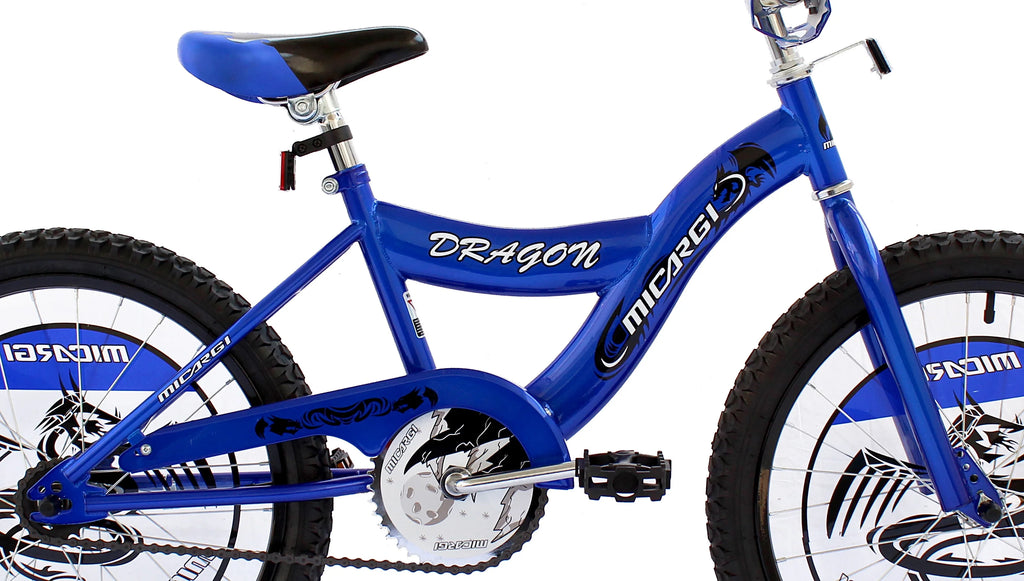 20 In. Blue Bicycle B520896