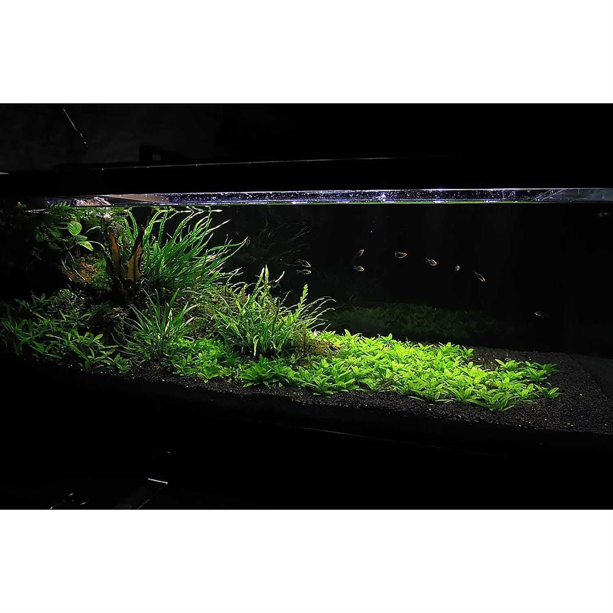 Aquatic Soil Substrate K8105