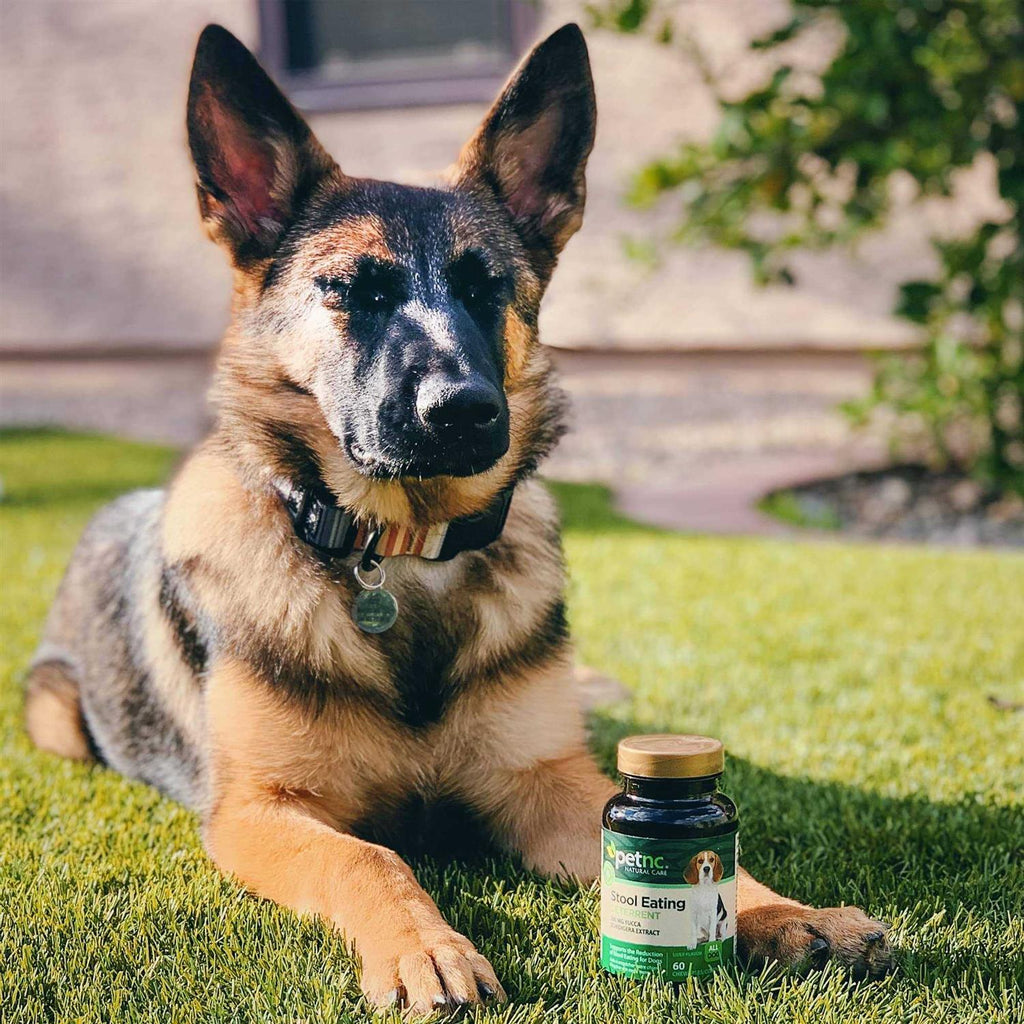 Stool Eating Deterrent Chewables for Dogs X659162