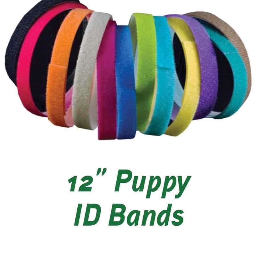 Puppy ID Bands T312