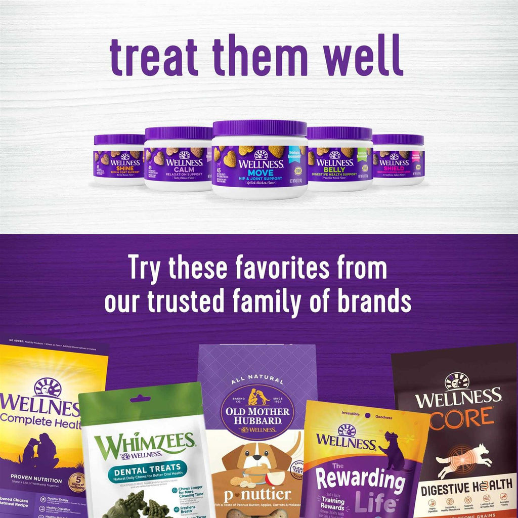 Pumpkin Flavored Soft Chew Digestive Health Supplements for Dogs C74677