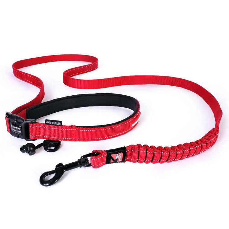 Leash Q13152