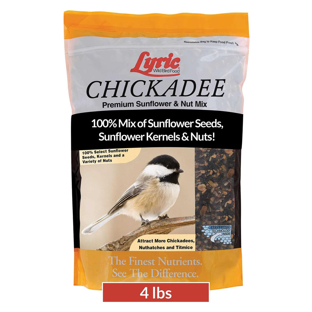 Chickadee Wild Bird G843592