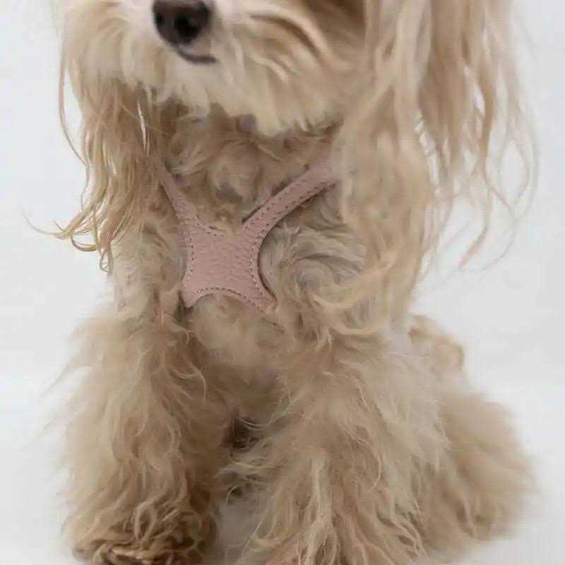 Pebble Grain Harness W5022
