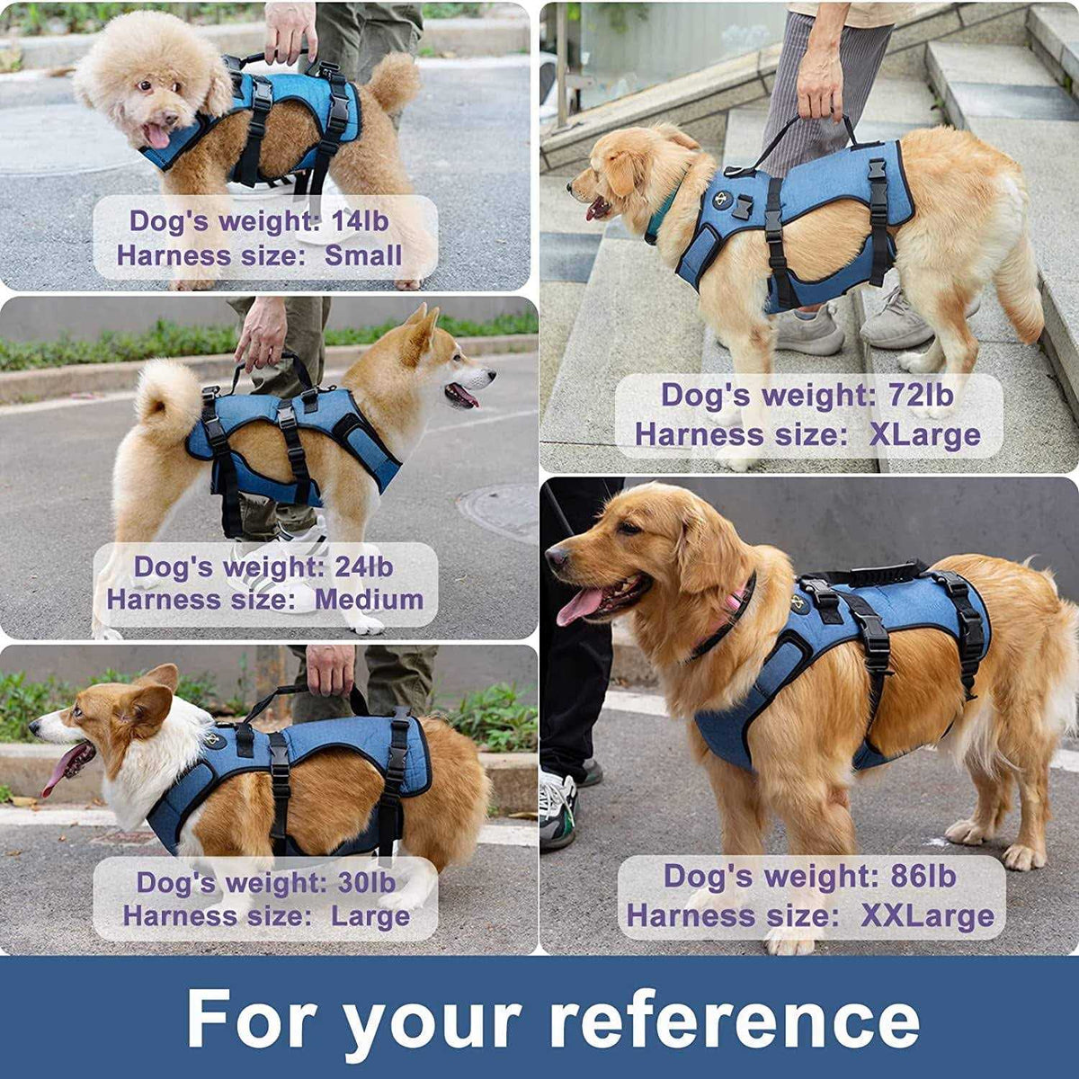 Adjustable Breathable Dog Lift Harness J56336