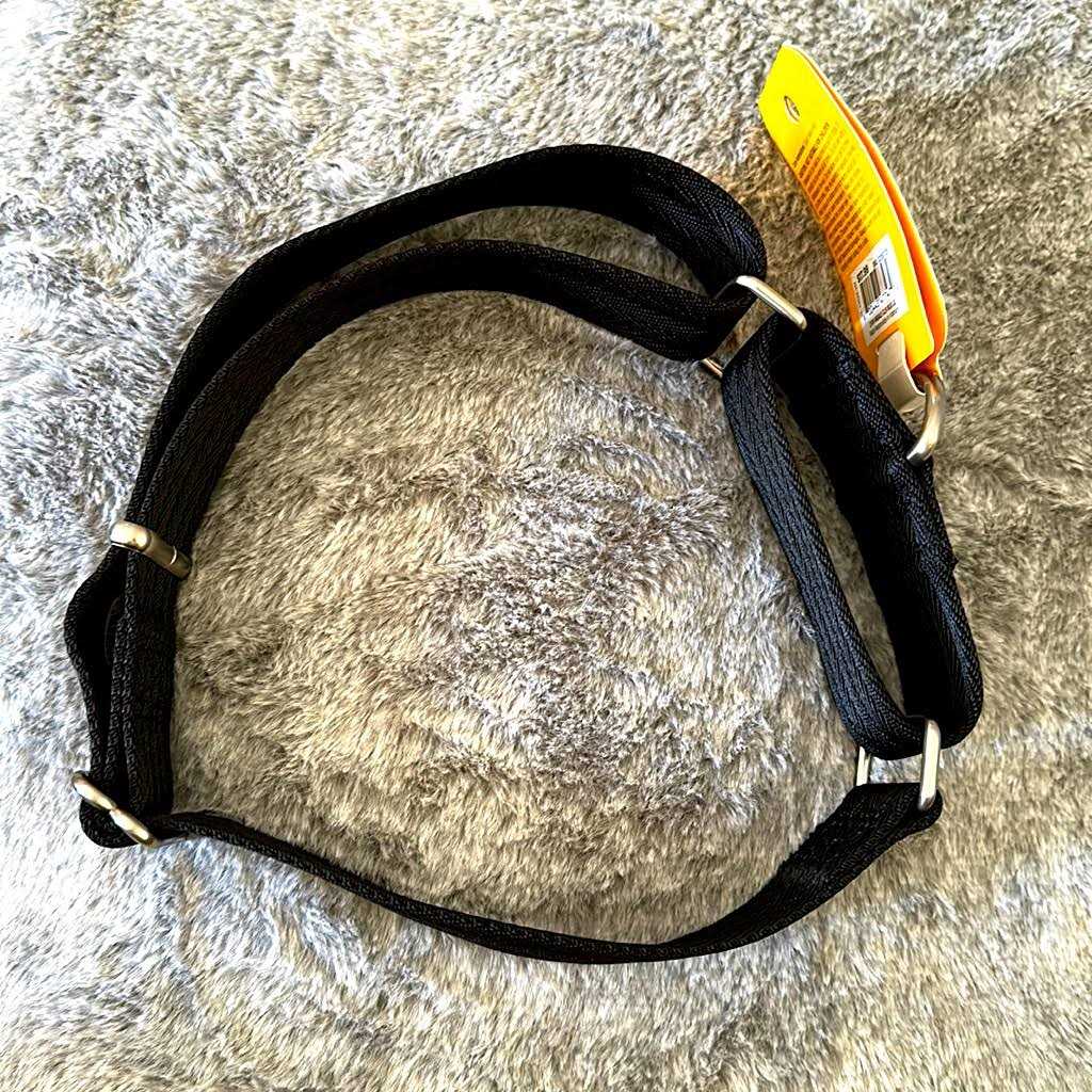 Martingale Dog Collar M79660