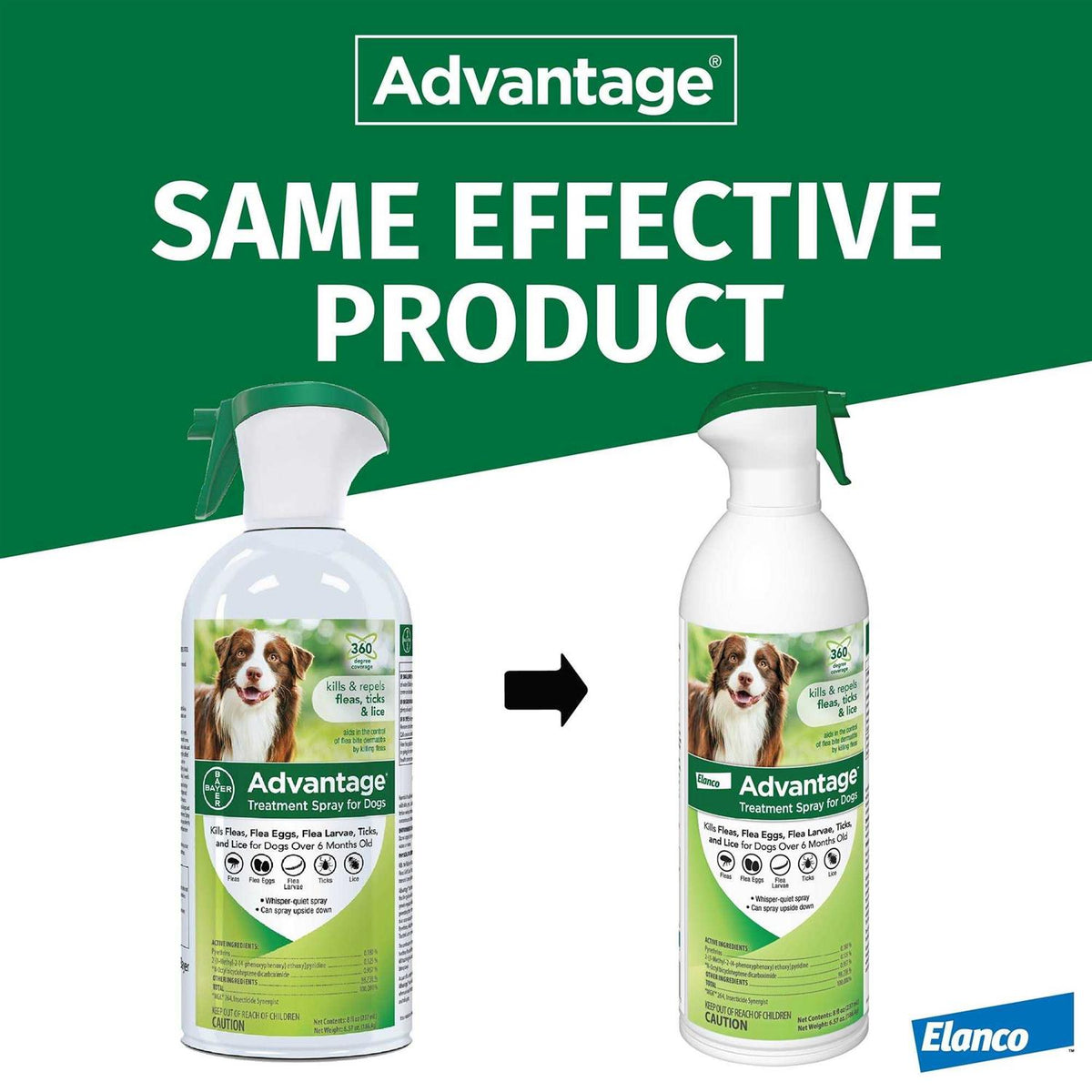 Flea & Tick Treatment Spray for Dogs B579