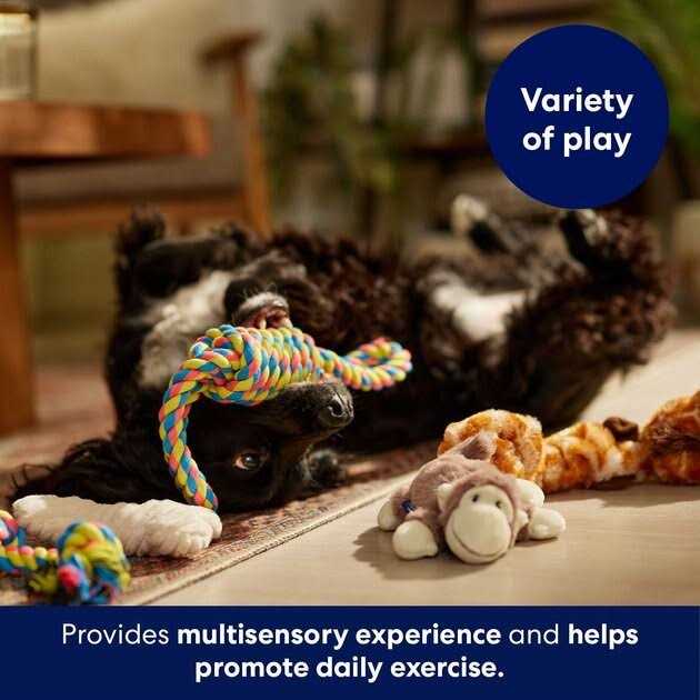 Plush & Rope Dog Toy S98640