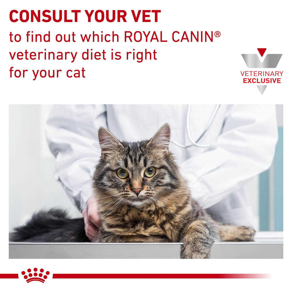 Veterinary Diet Dry Cat Food H96128