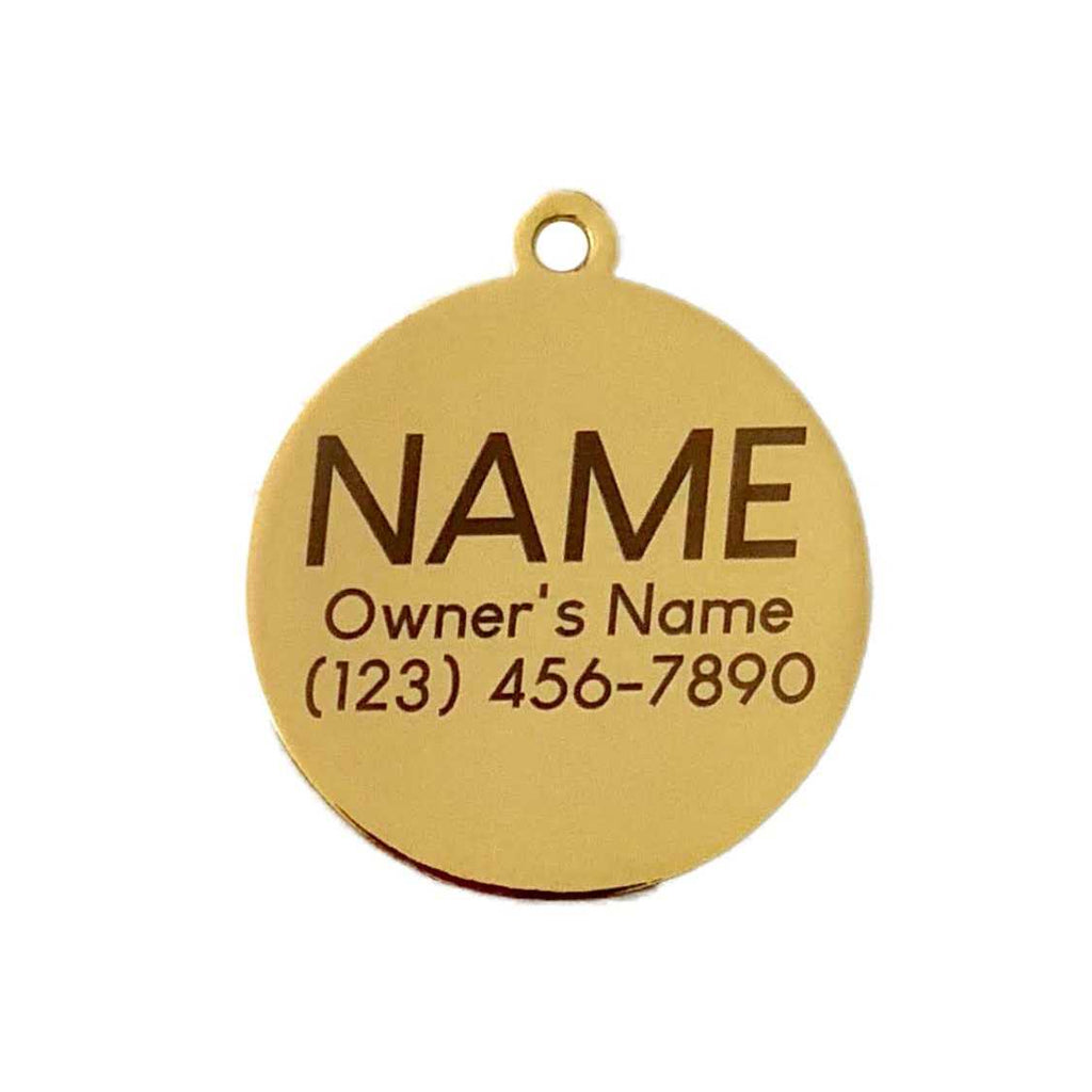 Lightning Bolt Pet ID Tag Z91417