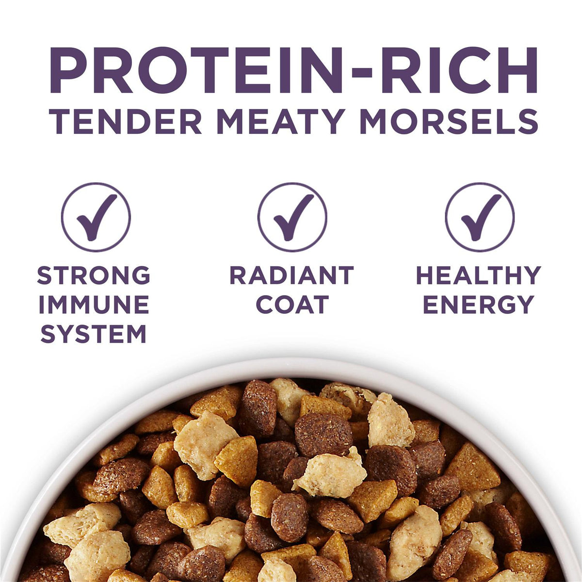 Adult Dry Dog Food D1872