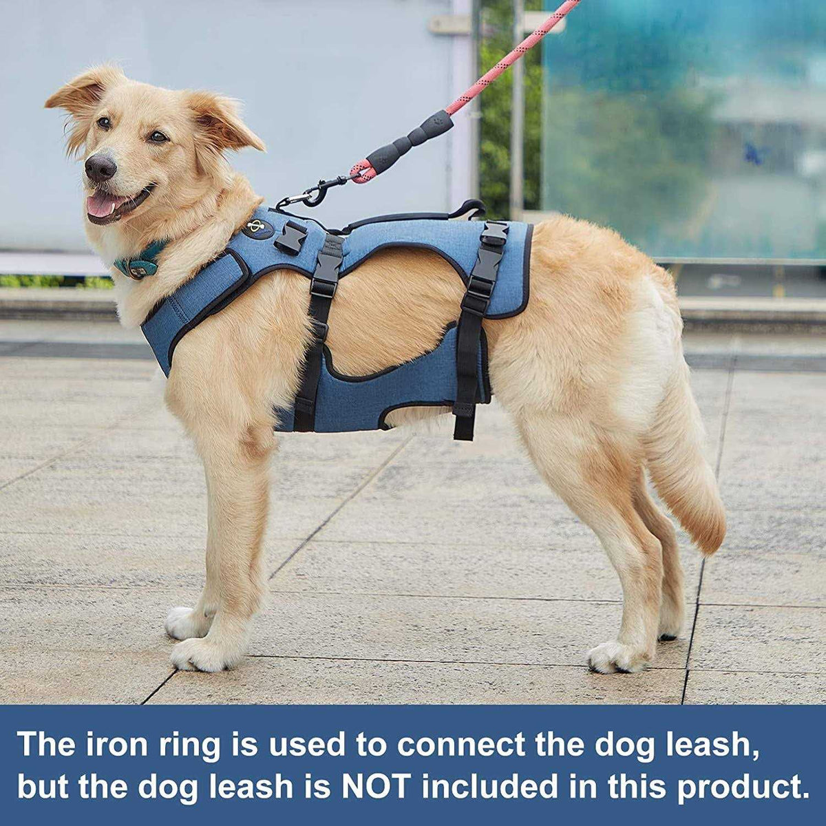 Adjustable Breathable Dog Lift Harness J56336