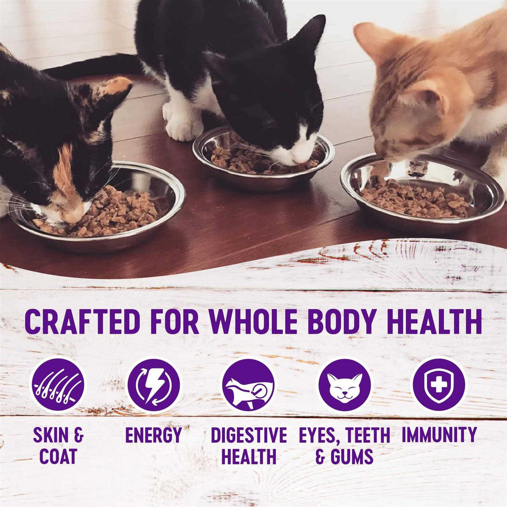 Complete Health Pâté Y463