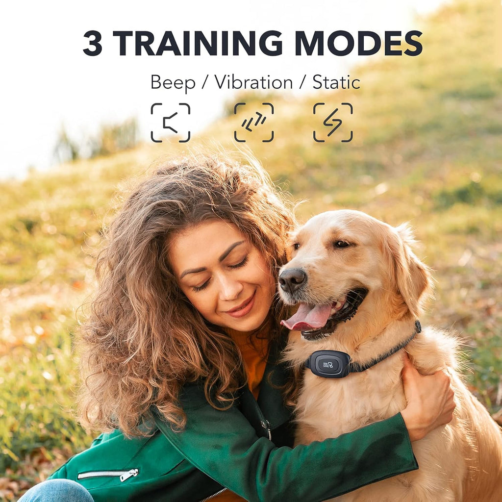 Rechargeable Dog Training Collar with Remote, 2 Receivers S137217