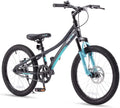 20 In. Children's Bicycle, Black and Blue A212945