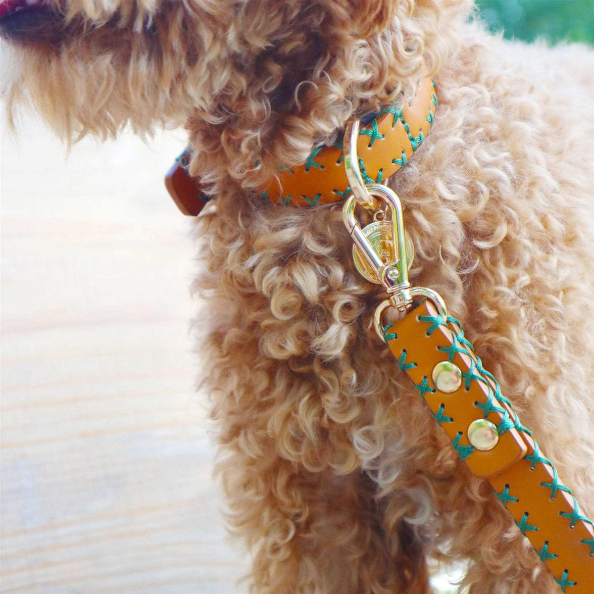 Handcrafted Standard Dog Collar H183160