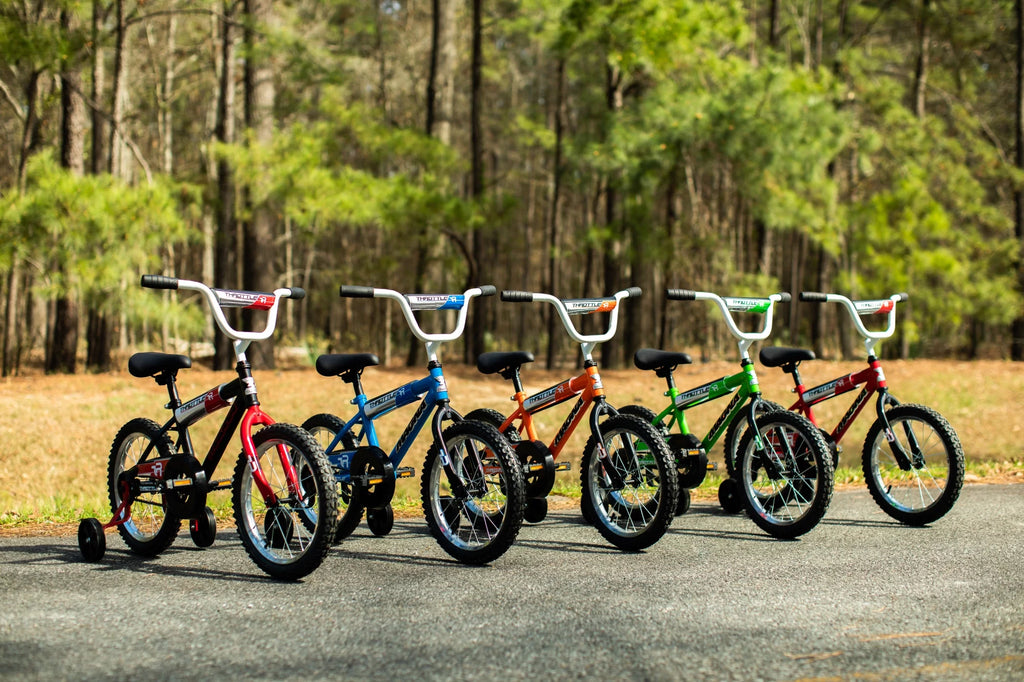 20-Inch BMX Bike R8210