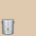Satin Interior Paint 1 Gallon D434