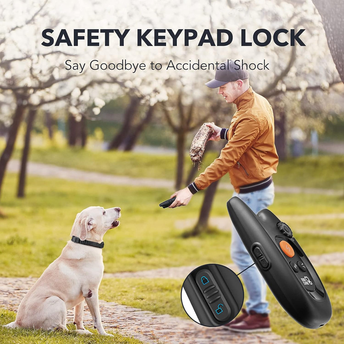 Rechargeable Dog Training Collar with Remote, 2 Receivers S137217