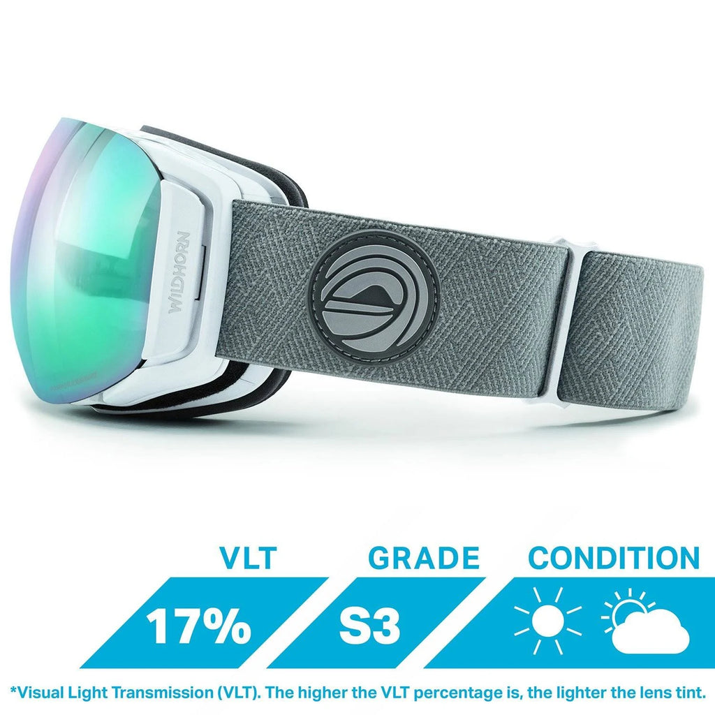 Ski Goggles F73490