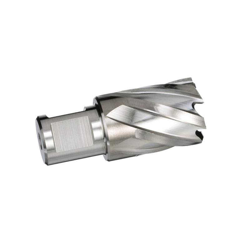 Carbide Tipped Annular Cutter R174213