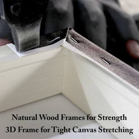Canvas Q368