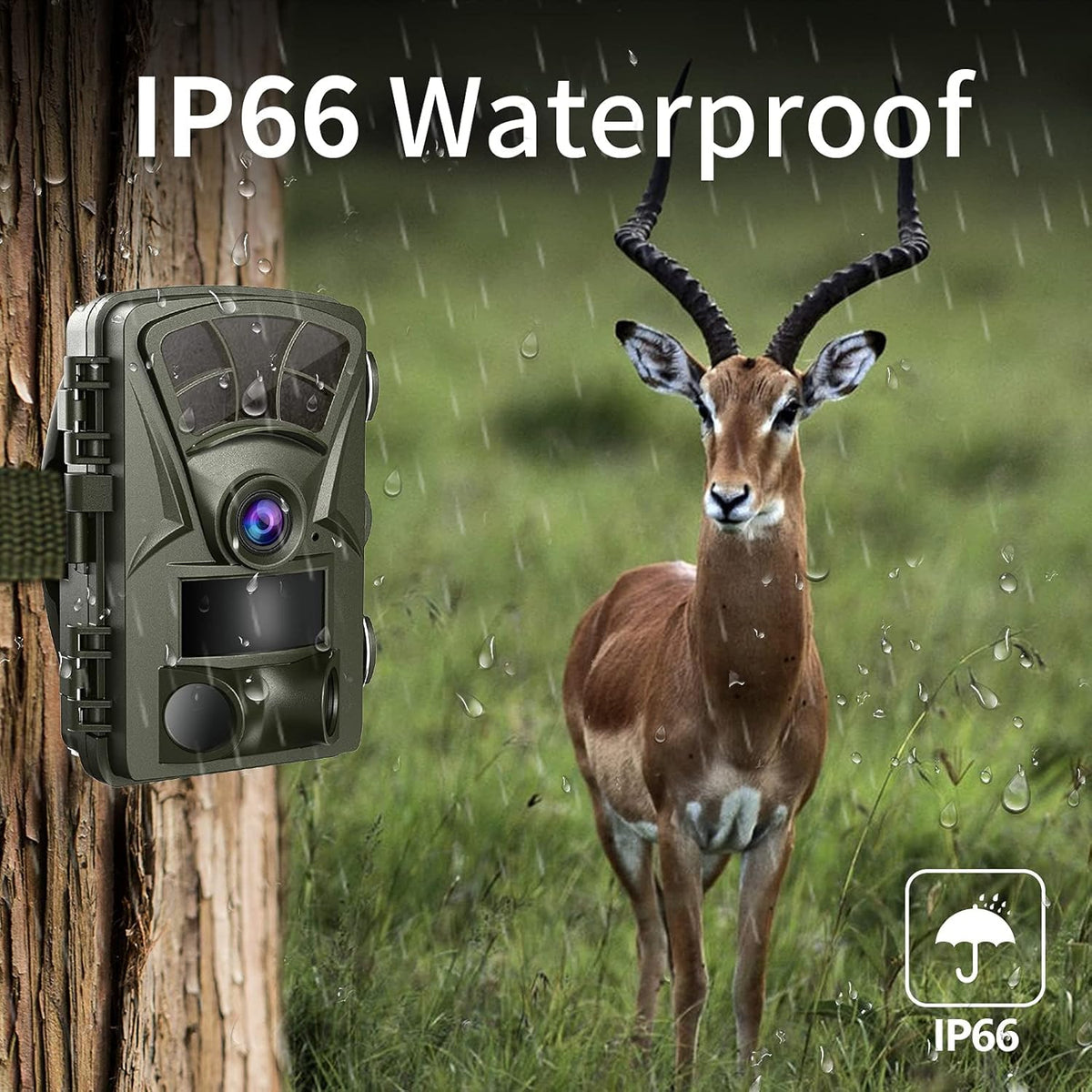 21MP 1080P Trail Camera with Night Vision A186
