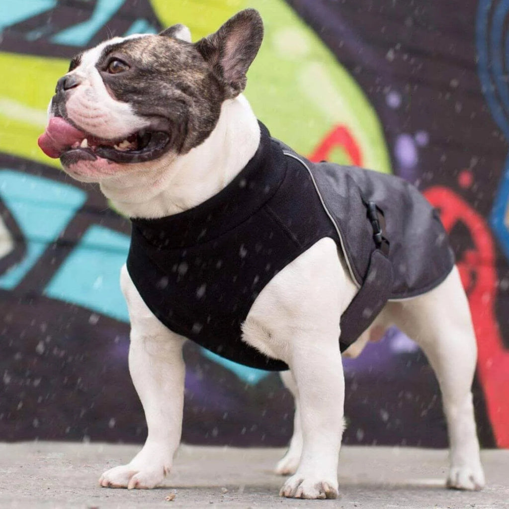 Charcoal Dog Coat W9767