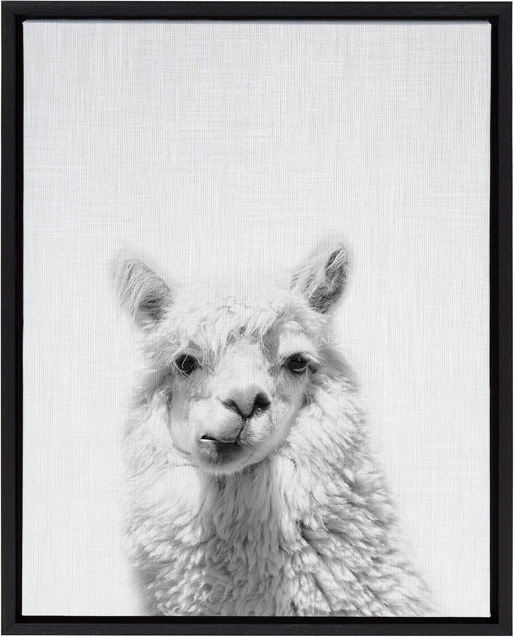 Black and White Framed Canvas Wall Art, 18x24 E28033