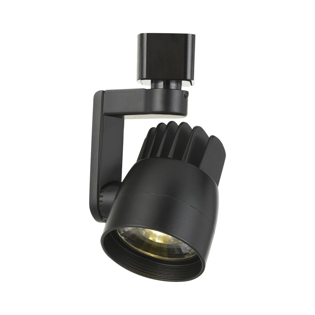 Black Track Light U712533