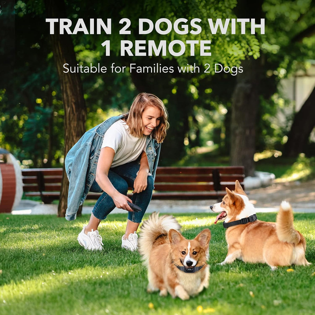 Rechargeable Dog Training Collar with Remote, 2 Receivers S137217