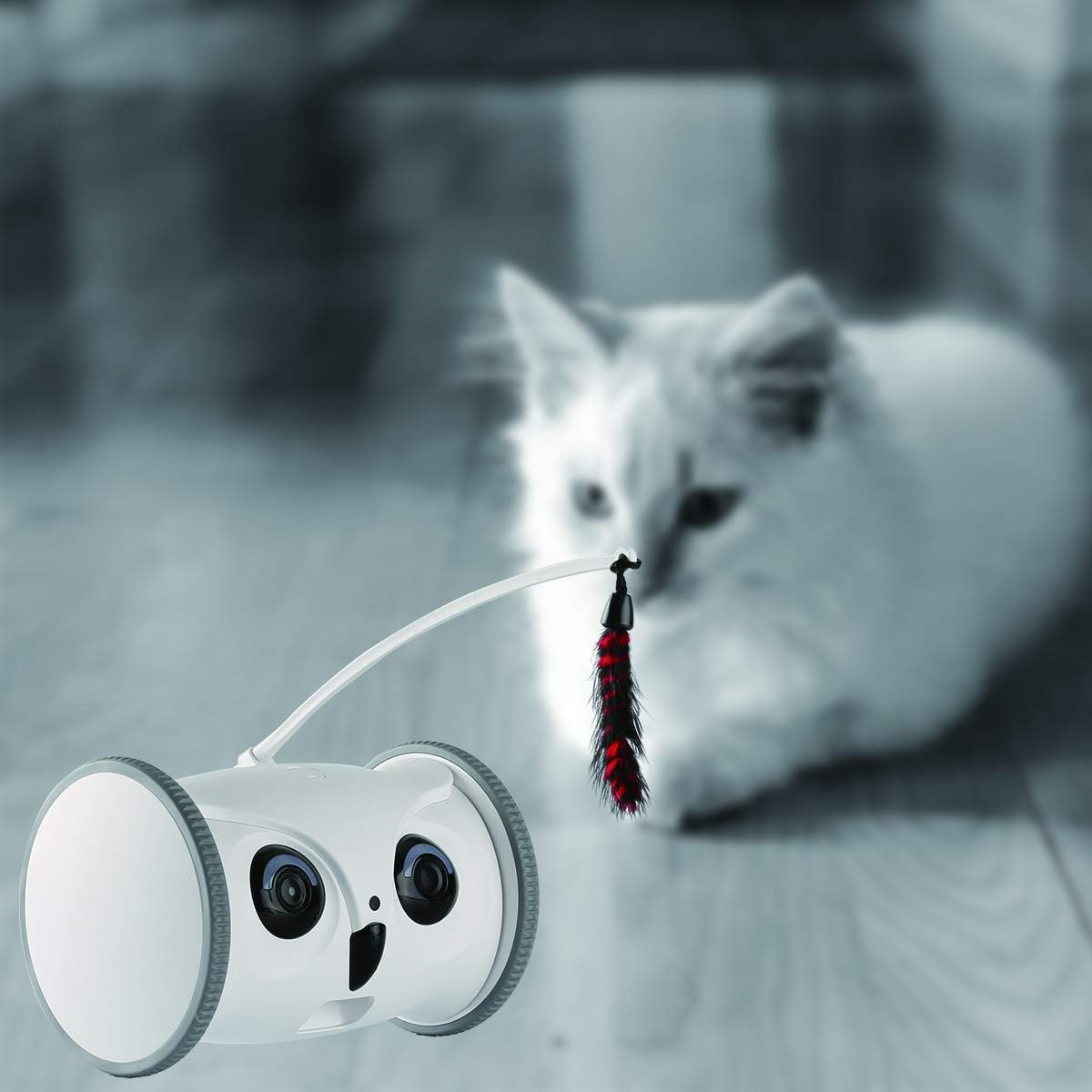 Pet Camera Treat Dispenser Interactive Toy with Remote Phone App Control 1080P FHD Y556