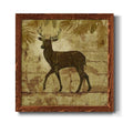 Framed Canvas W143
