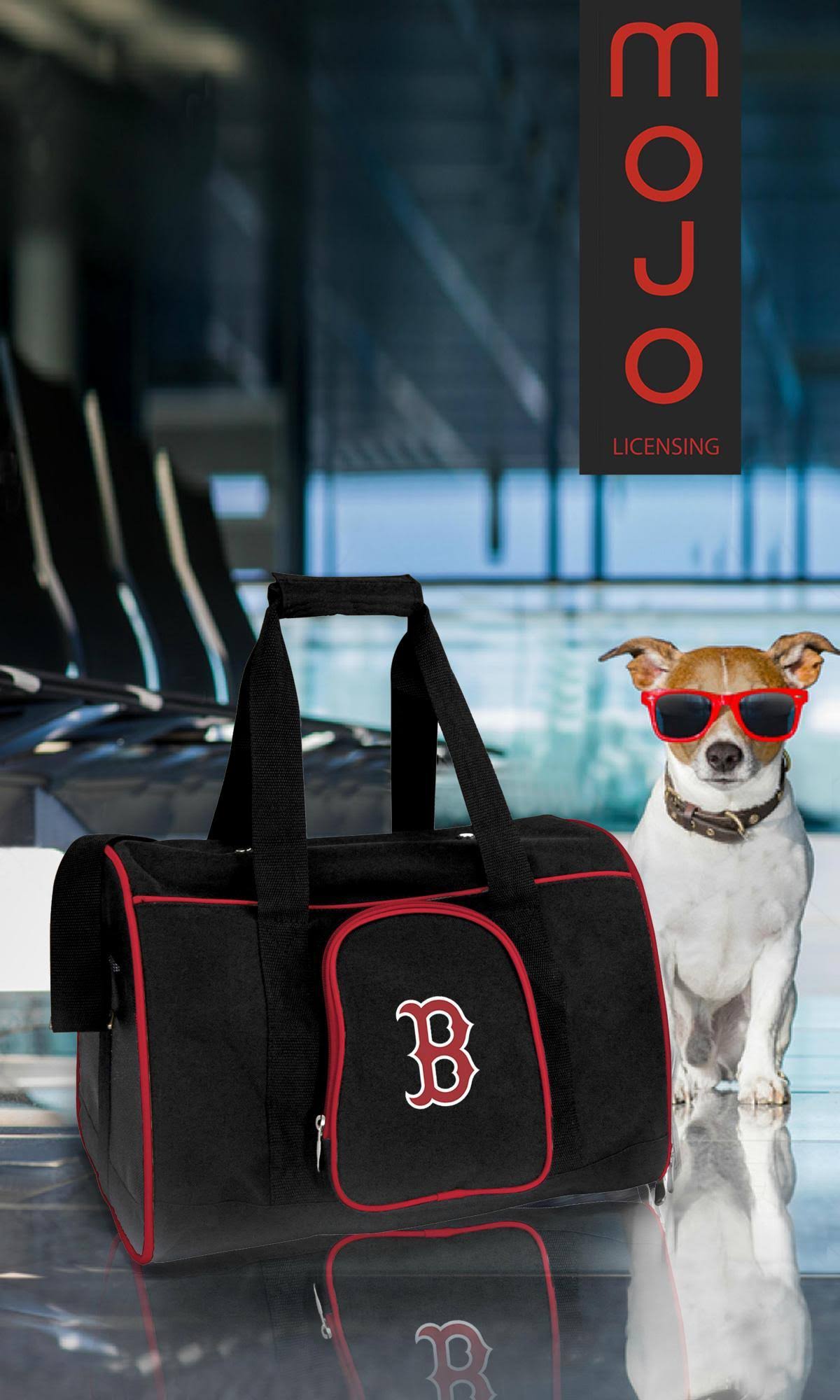 Premium Pet Carrier D619