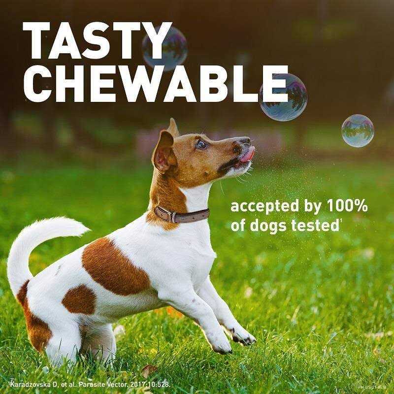 Chewable Tablet for Dogs 50.1-100 lbs W460